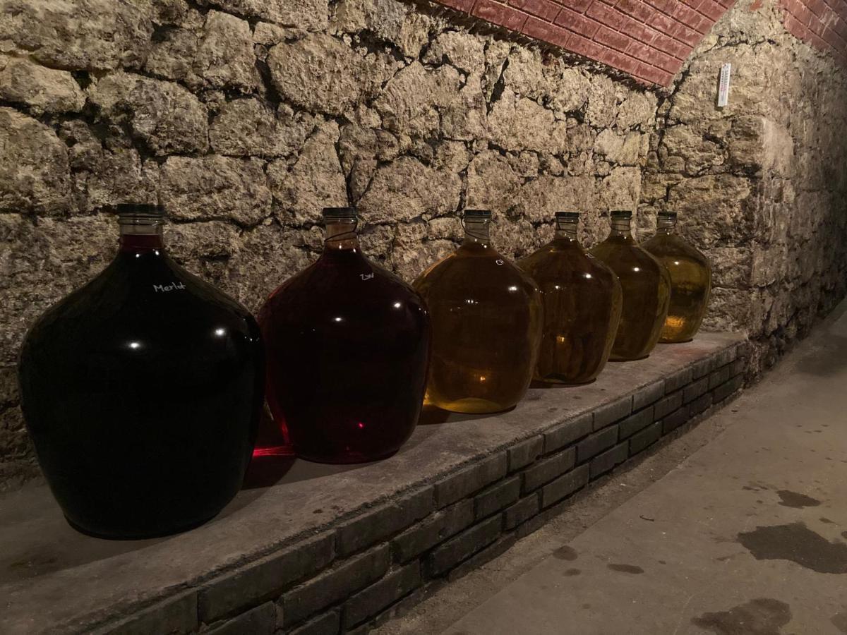 Appartamento Deduv Sklep Hlohovec Esterno foto